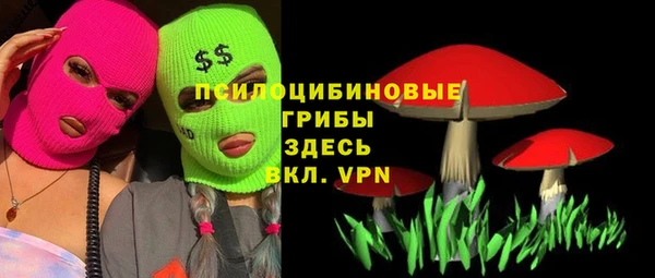 индика Алексеевка