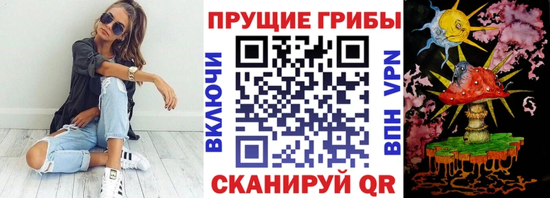купить наркотики цена  гидра рабочий сайт  Псилоцибиновые грибы мухоморы  Томари 